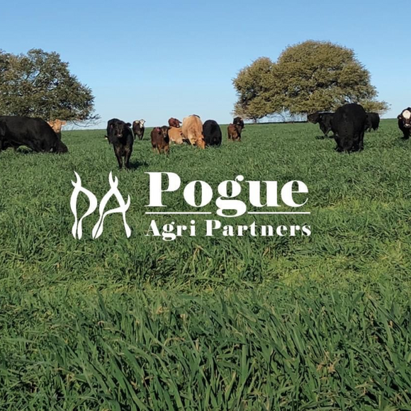 Pogue Agri Partners- Livestock Grazing Seeds