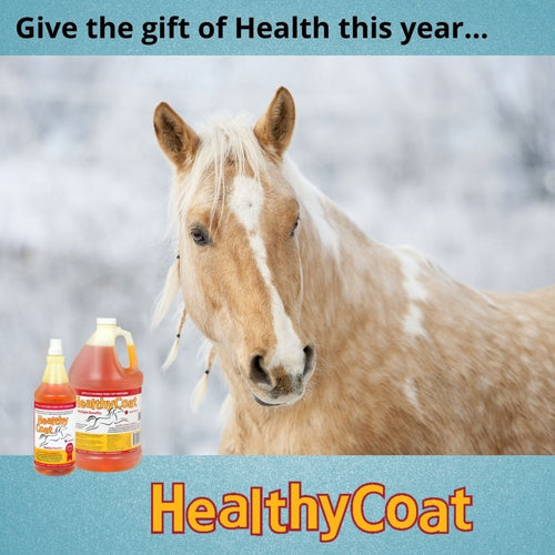 HealthyCoat Liquid Feed Supplement for Your Horses