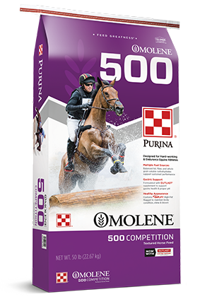 Purina® Omolene #500® Competition Horse Feed