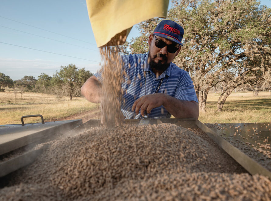 Feed for Your Livestock