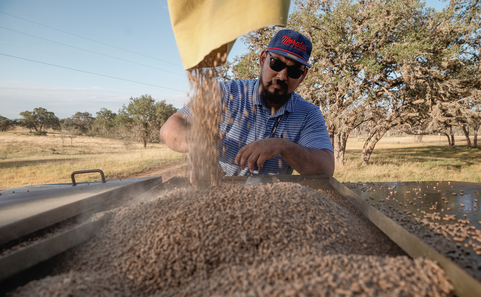 Feed for Your Livestock