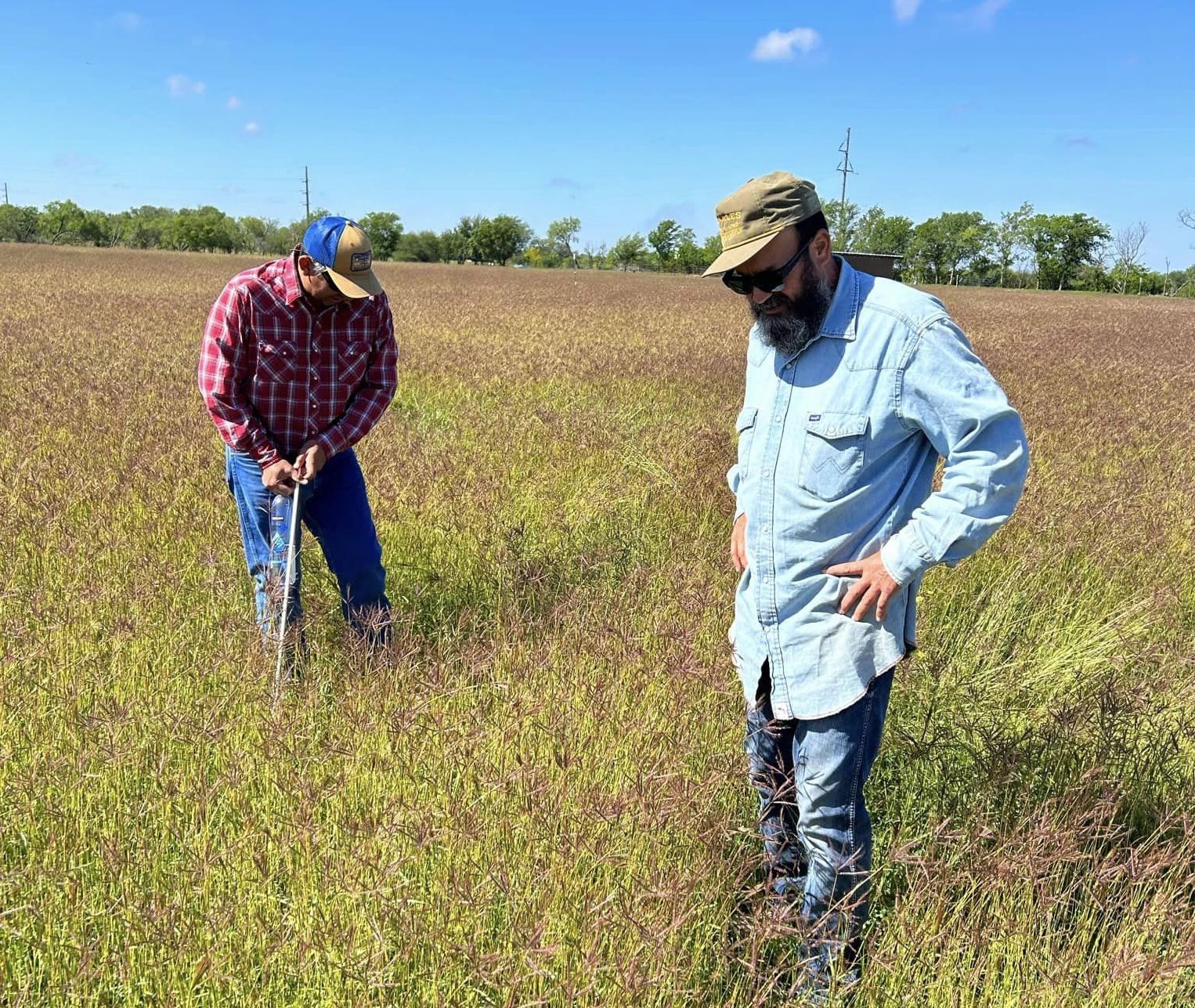 Food plots