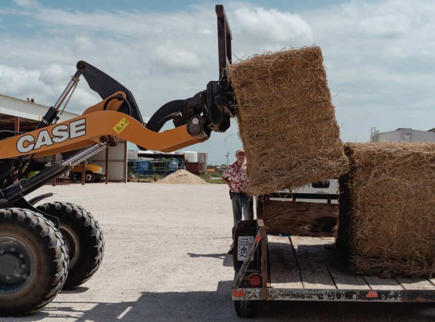 Morales Feed Supply | Hay and Cottonseed
