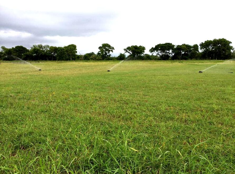 Drought Impact & Water Management