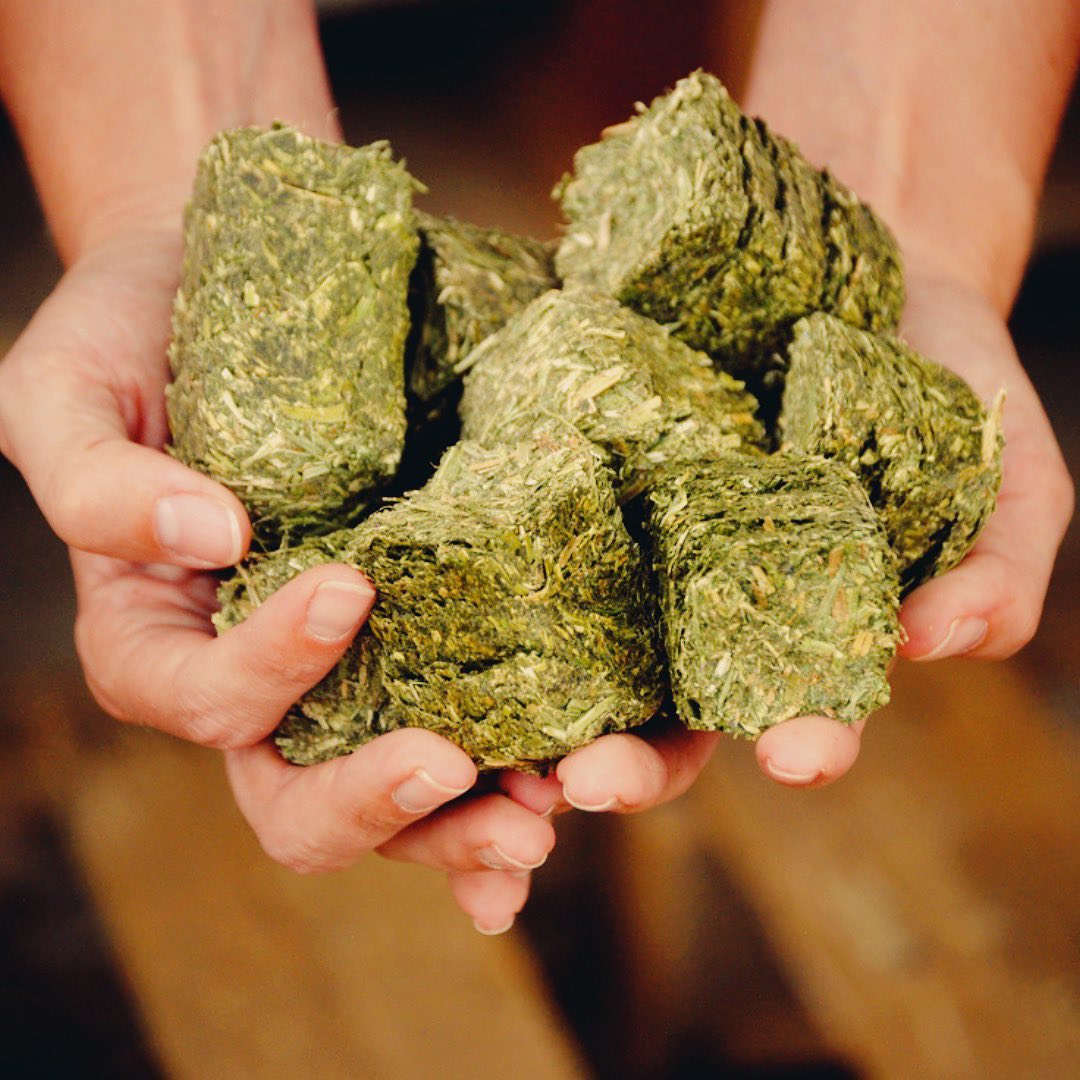 Morales Feed and Supply Alfalfa Cubes