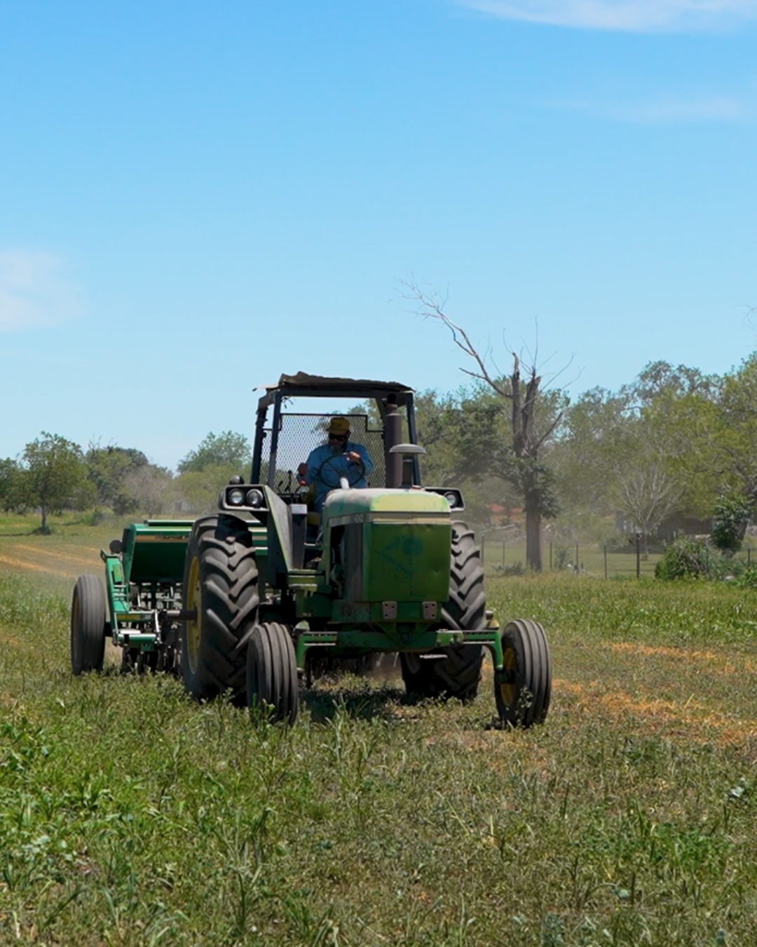 Fall planting South Texas